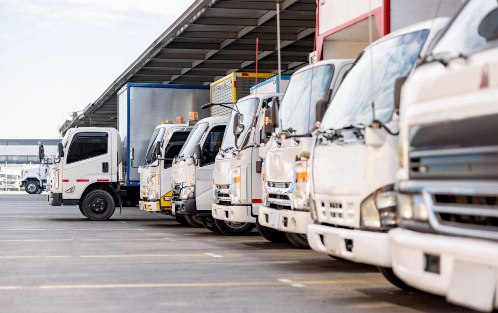 A line of white trucks parked in a lot.